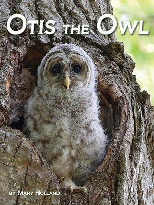 cover image of Otis the Owl